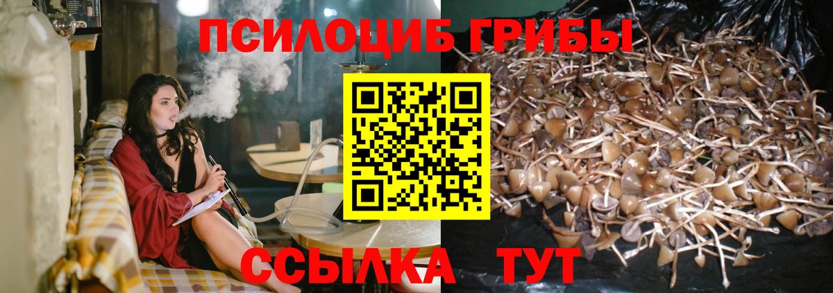 Псилоцибиновые грибы мухоморы Махачкала