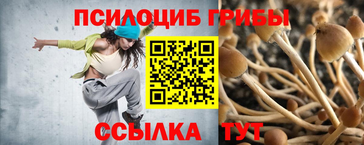 Махачкала  Галлюциногенные грибы Magic Shrooms  Галлюциногенные грибы MAGIC MUSHROOMS  Вход с VPN 